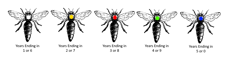 Queen Bee Color Marking